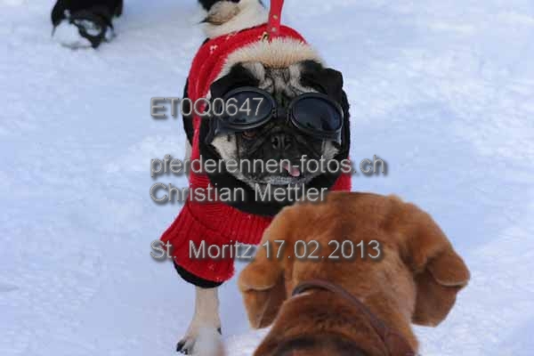 ET0Q0647 prot